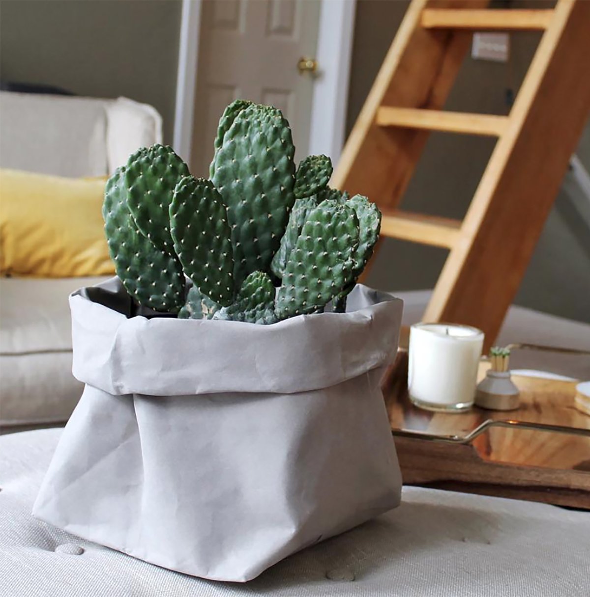 Urbana_Sacs_Washable_Paper_Bags_Organizer_Planter_Cactus_Stone_Large_N_S_600x@2x